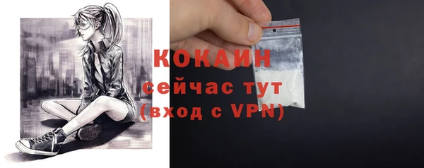 молекула духа Богородицк