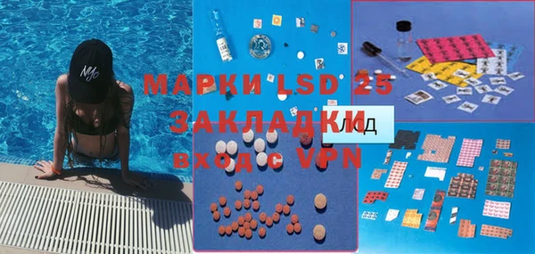 молекула духа Богородицк