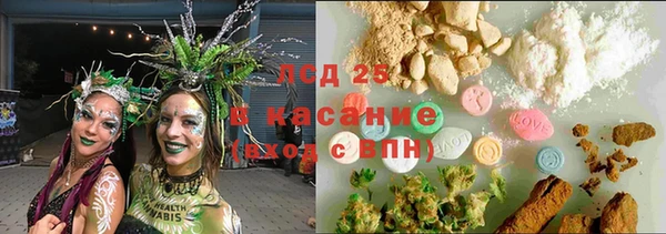 молекула духа Богородицк