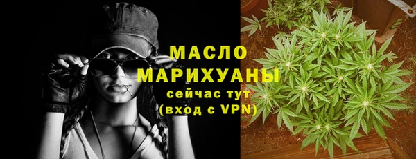 молекула духа Богородицк