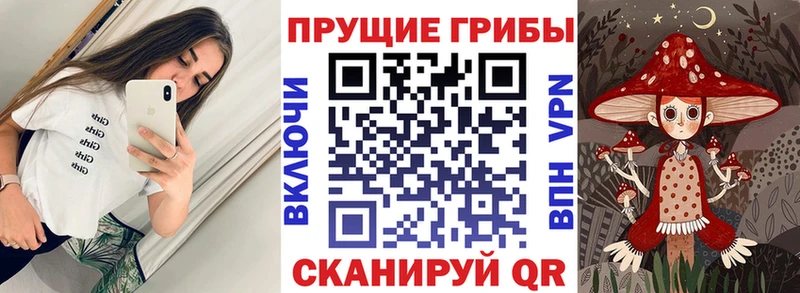 хочу   Пионерский  Галлюциногенные грибы Magic Shrooms 